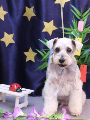 20230730ボルトくん